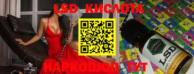 винт Кимры
