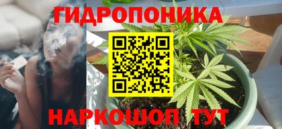 spice Кинель