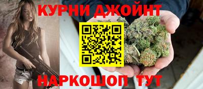 гидропоника Кингисепп