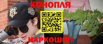 гидропоника Кингисепп