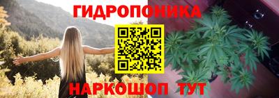 гидропоника Кингисепп