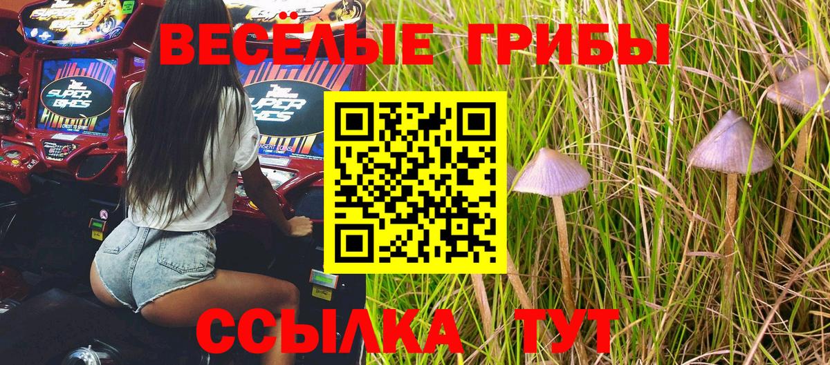 Псилоцибиновые грибы прущие грибы Кропоткин