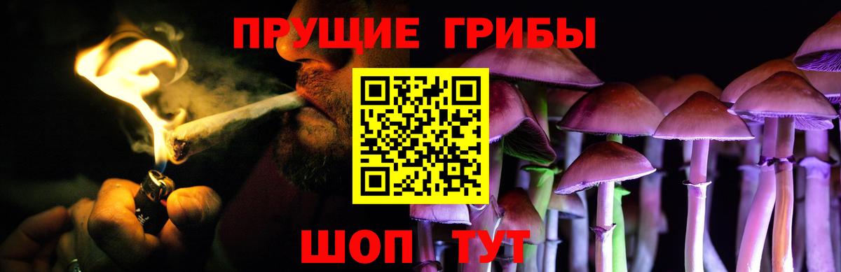 Кропоткин  Галлюциногенные грибы ЛСД  Вход с VPN  Галлюциногенные грибы Cubensis 